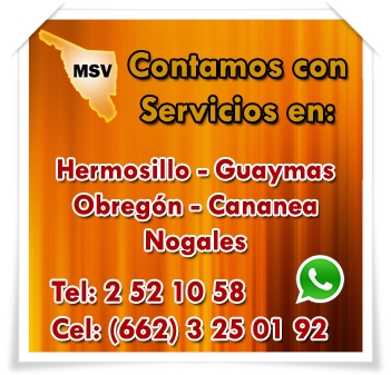 montajes-y-servicios-del-valle-servicios-en-sonora